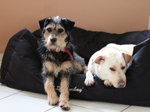 Fergie und Betty
